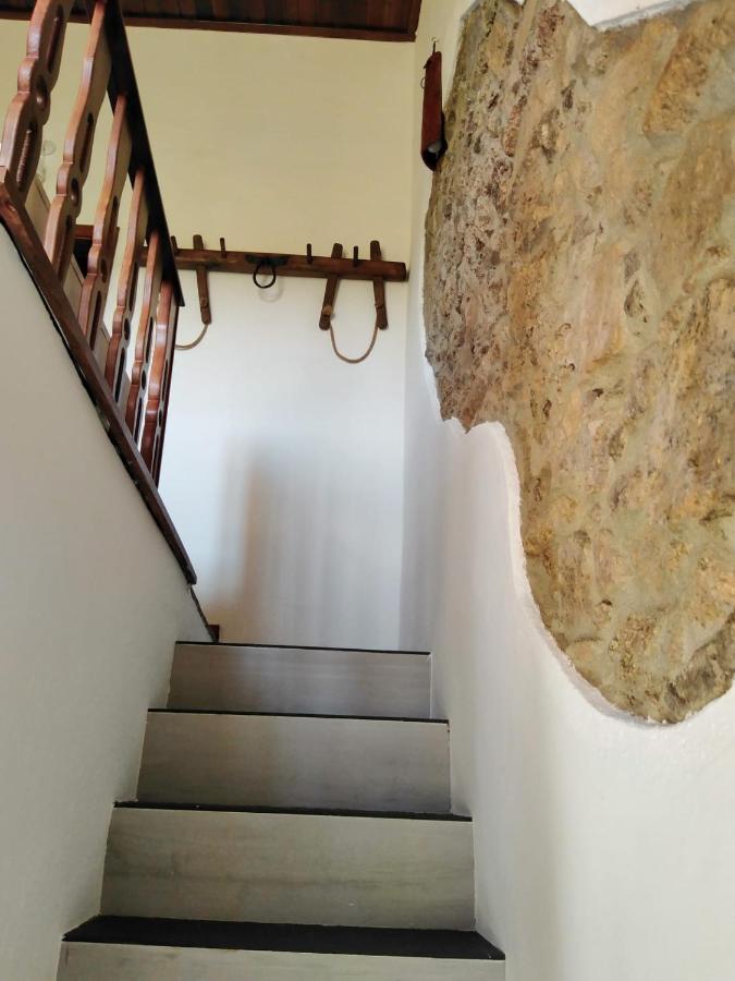 הוילה פורטלגרה Casa Janeiro Alentejo מראה חיצוני תמונה
